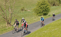 Pok cycle.gif